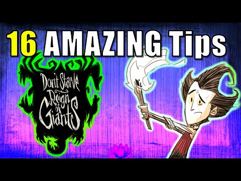 16 Tips to Help You Survive in Don't Starve Reign of Giants