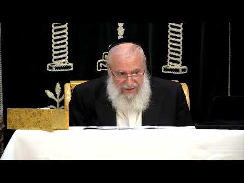 מסר קצר לבין המצרים | מאת מרן הרב אשר וייס שליט"א | תשפ"ד