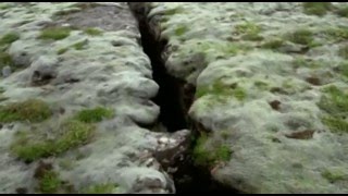 The 10 Best Documentaries About Björk