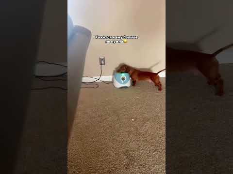 Артикул💚Яндекс: YM10201910 💚Али: ALI1803516930