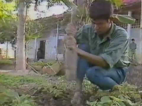 ARD Tagesthemen Fragment Programmansage 1983 Senderkennung