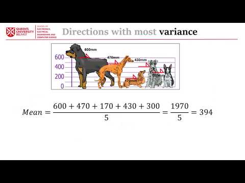 Data Analysis and Visualisation Review | Principal Component Analysis