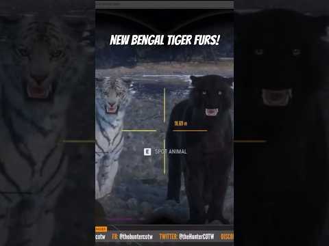 The Bengal Tiger rares are literally insane… Call of the Wild #shorts