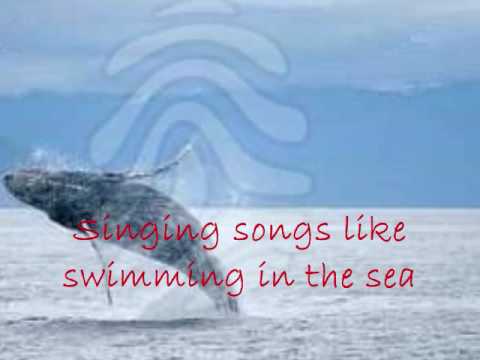 I Got A Frog in My Pocket