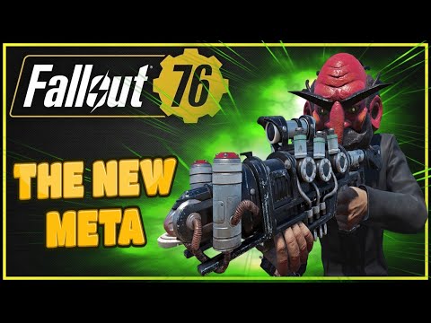 The NEW Gun Meta 2025 (8000+ Damage) - Fallout 76