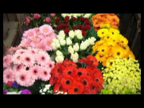 PREDICA -MADULAR IN TRUPUL DOMNULUI ISUS  LUI CRISTOS -ESTI ?