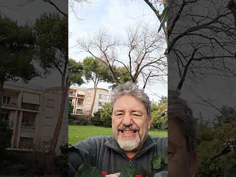 La legge Merlin: chi ci guadagnava, prima e dopo, secondo Chatgpt?