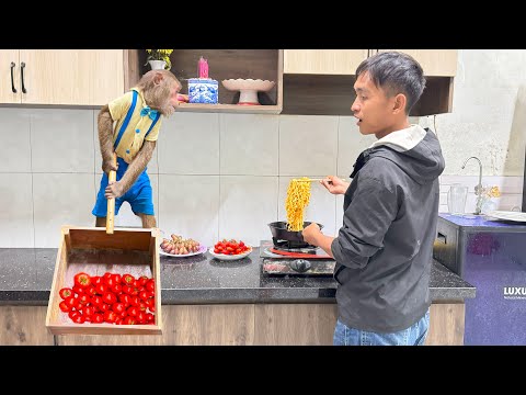 Fans Don't Believe ,CUTIS Did This Special Way To Make Dad Pamper Him