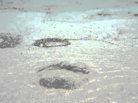 Redwood Springs, Christchurch (1)