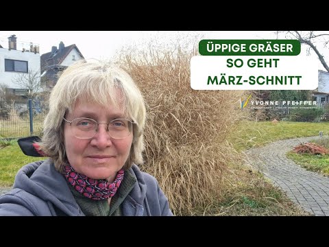 Wüstes Ziergras bändigen, so gehts keichter!
