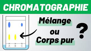 CHROMATOGRAPHIE sur couche mince ✅ MÉTHODE 💪 Seconde