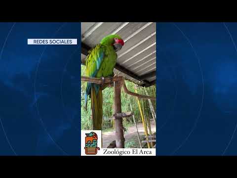 VACACIONAL ZOOLÓGICO EL ARCA - ALLYTV NAPO