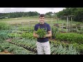Kako sem postal vrtnar - Robert Špiler iz Vrta Obilja