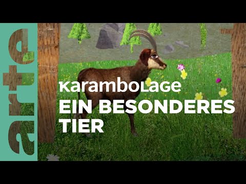 Der Dahu | Karambolage | ARTE