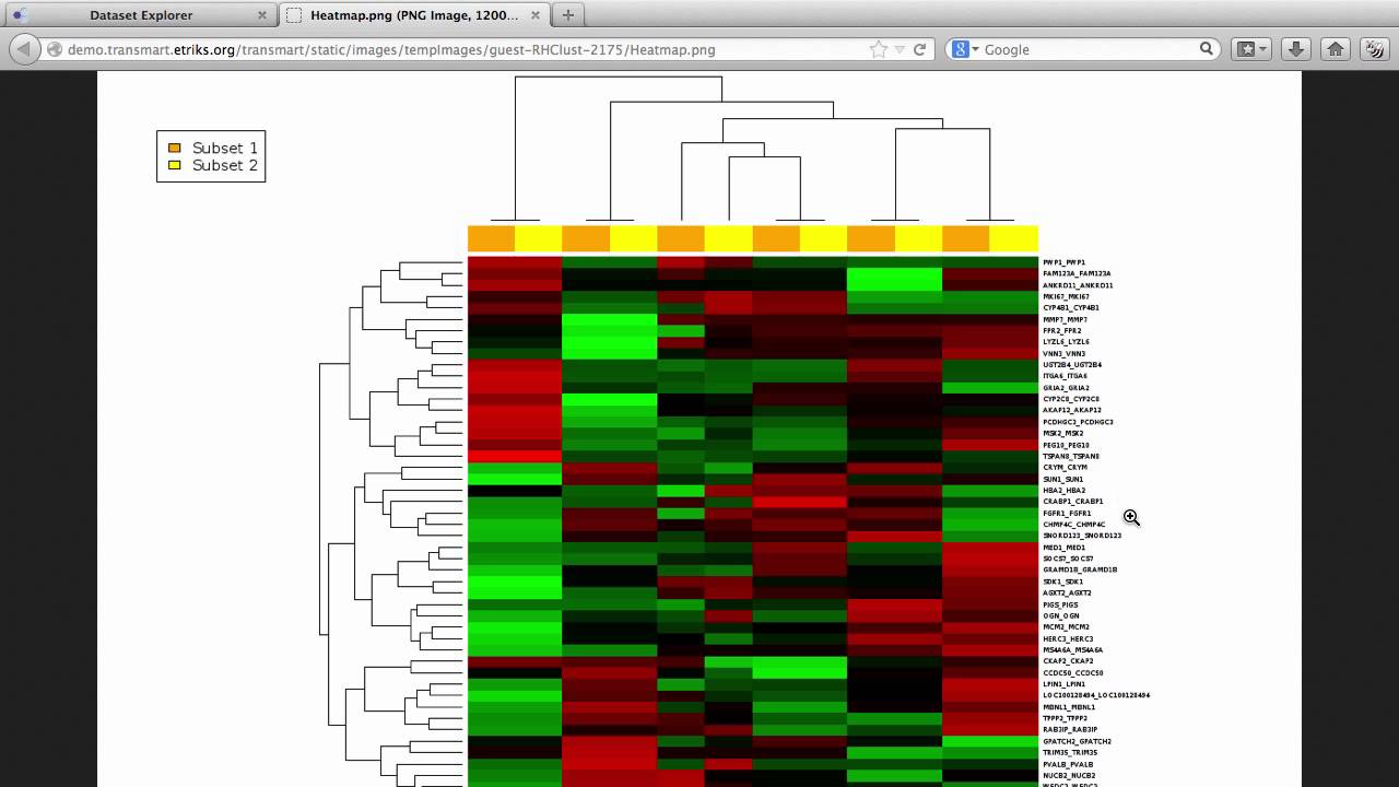 TUTORIAL:  Heatmaps