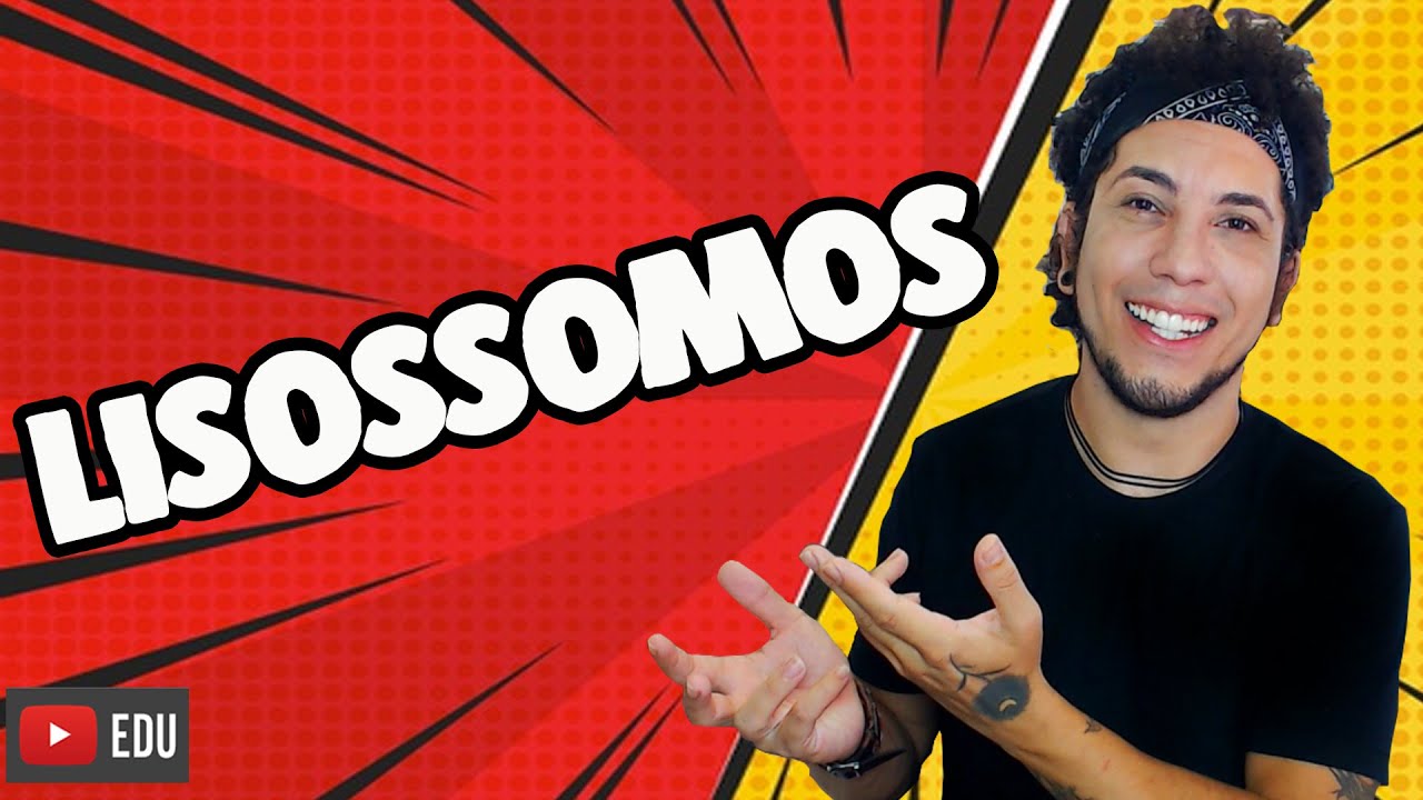 LISOSSOMOS - FUNÇÕES | Biolodúvidas com Patrick Gomes