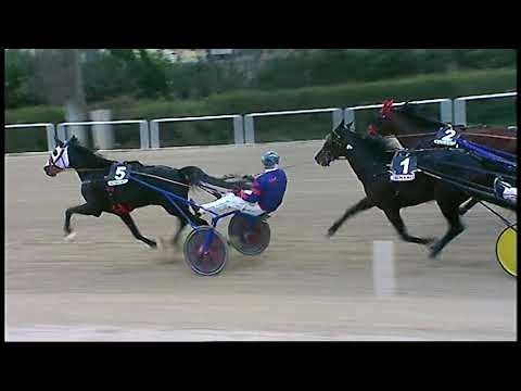 Trotto 28/11/2020 - 6ª corsa