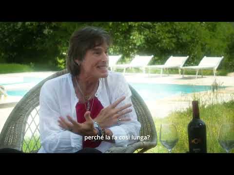 Celebrity Wines Clip | Ronn Moss