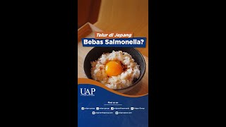 Download lagu ARE EGGS IN JAPAN SALMONELLA-FREE? #shorts #chickenfarming #eggchickens #moderncoops #chickeneggs mp3