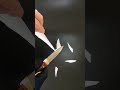 DISFRUTAR BISON DAMASCUS STEEL