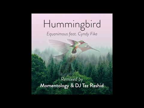 Equanimous - Hummingbird (Momentology & DJ Taz Rashid Remix)