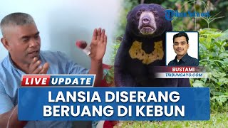 Sarkawi Diserang Beruang sampai Bergulat saat Usir Monyet di Kebun Bener Meriah, Jari Hampir Putus