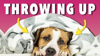 Help! My Dog is Throwing Up Yellow Foam | Ultimate Pet Nutrition - Dog Health Tips