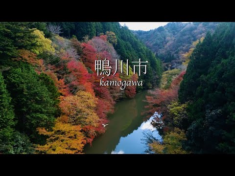 千葉県鴨川市　四方木の紅葉