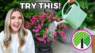 The Genius Dollar Tree Trick That Totally Upgraded My Outdoor Space