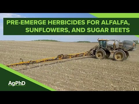 Pre-Emerge Herbicides in Alfalfa | Sunflowers | Sugar Beets (From Ag Phd #1090 - Air Date 2-24-19)