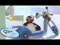 Pingu And The New Scooter Pingu Official 1 Hour Cartoons For Kids