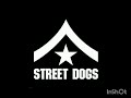 Street Dogs (Jakes)