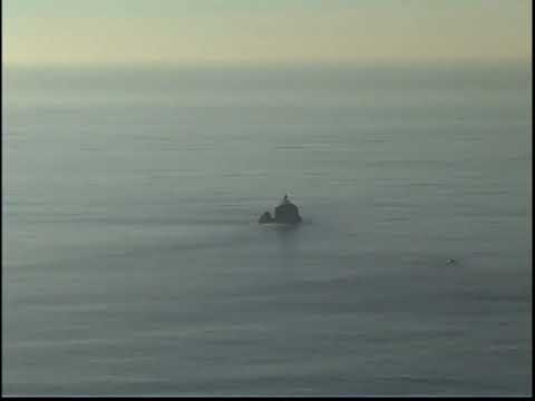 Tent of Many Voices: 11190501F