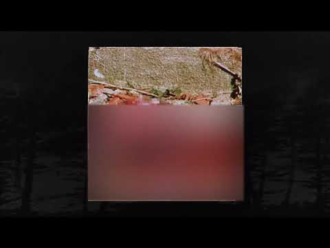 PHONK.HOUSE.RECORDS - OUTLAW MADNESS [PROD. SALAZAR187] (MEMPHIS 66.6 EXCLUSIVE)