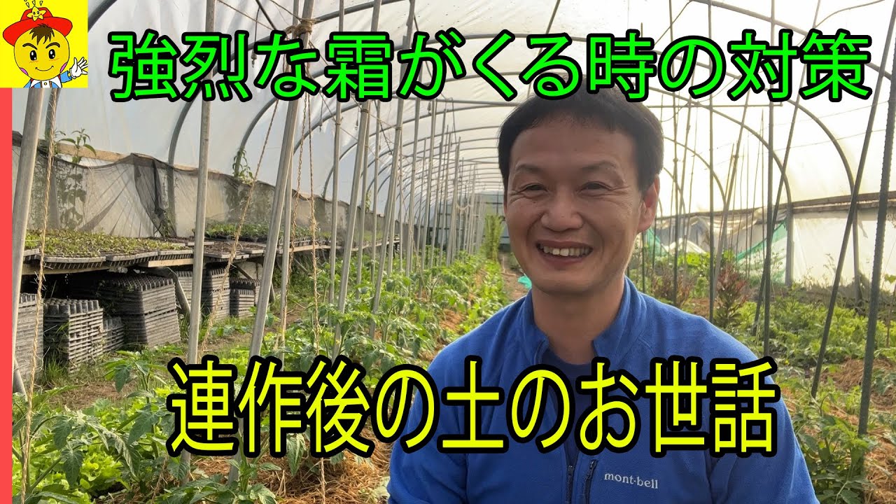 遅霜対策と連作後の土の休ませ方