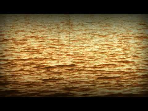 Miodrag Mile Bogdanović, Pevaj mi, pevaj, sokole