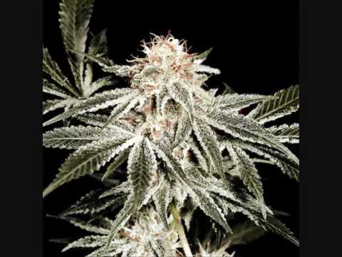 Mighty rednek- when i was a youth ( lyrics)