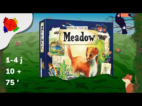 Vidéo Meadow