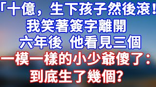完結版！「生下孩子我給妳十億，然後滾！」我笑著簽字離開。六年後他看見三個一模一樣的小少爺傻了：到底生了幾個？#情感故事 #為人處世 #老年生活 #米思故事 #深夜读书 #養老 #幸福人生 #晚年幸福