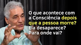 A Consciência Reencarna? Quem ou O Que Reencarna? | Satsang com Alexandre Magno