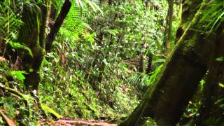 Mountains Belong to the People Who Love Them