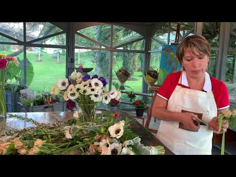 BOUTONNIERE BY ALCIRA LHF