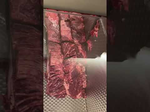 MHS Model PCE 65T Horizontal Meat Slicer and Portion Control Machine