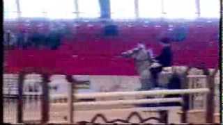 Video of Illusion 57