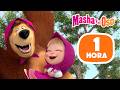 Masha y el Oso 🤪🐻 ¿Por qué nos reímos? ⭐1 hora⭐ Colección divertida 🎬 Masha and the Bear en Español DEFAULT Thumbnail