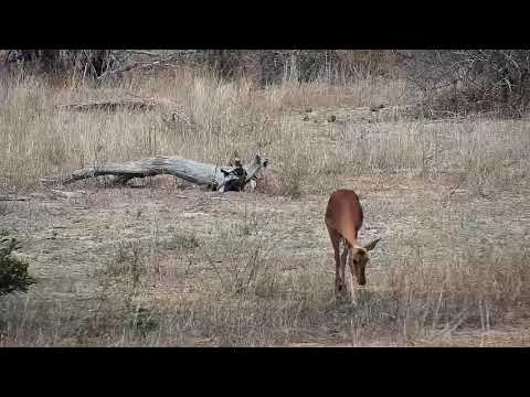 Djuma: Sights and sounds of the day - 09/21/19