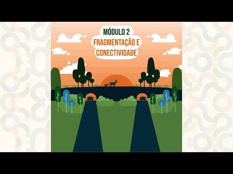 Módulo 2 - Aula 2 - Fragmentação e Conectividade