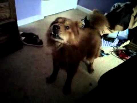 Tippsy's early morning wake up call