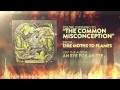Like Moths to Flames - The Common Misconception ...