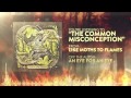 Like Moths to Flames - The Common ...